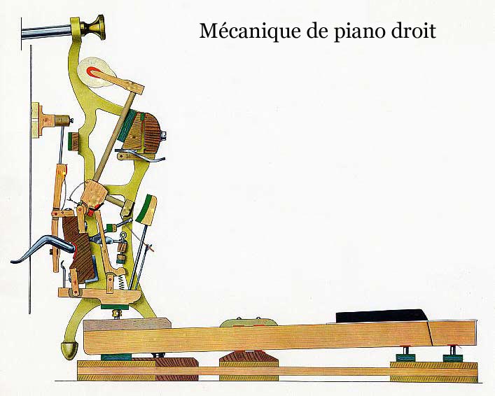 mecadroit.jpg